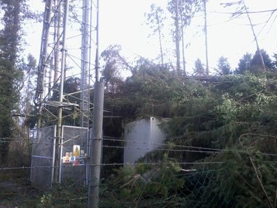 2014-02-15 14.57.21.jpg