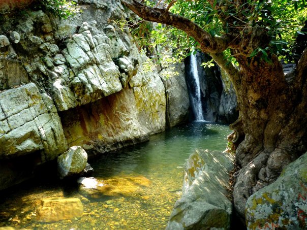 Jungle Beach, Vietnam