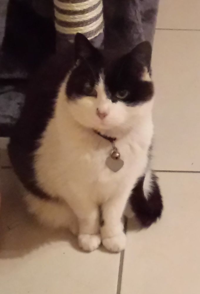 20150628_004642 - Copy.jpg