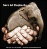 Save All Elephants. Aug 2016.jpg