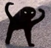 cat.PNG